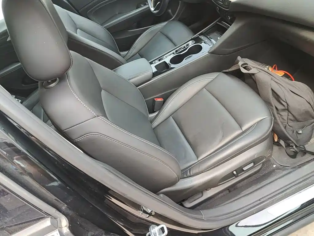 Buick Regal — миниатюра 25