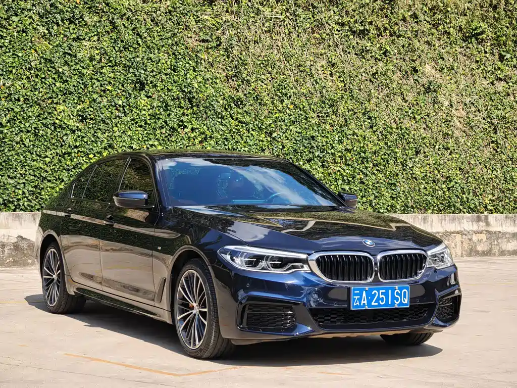 BMW 5 Series — миниатюра 3