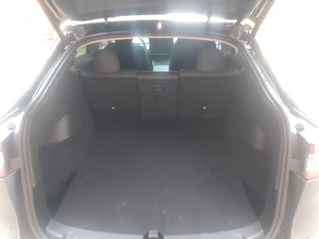 Tesla Model Y — миниатюра 19