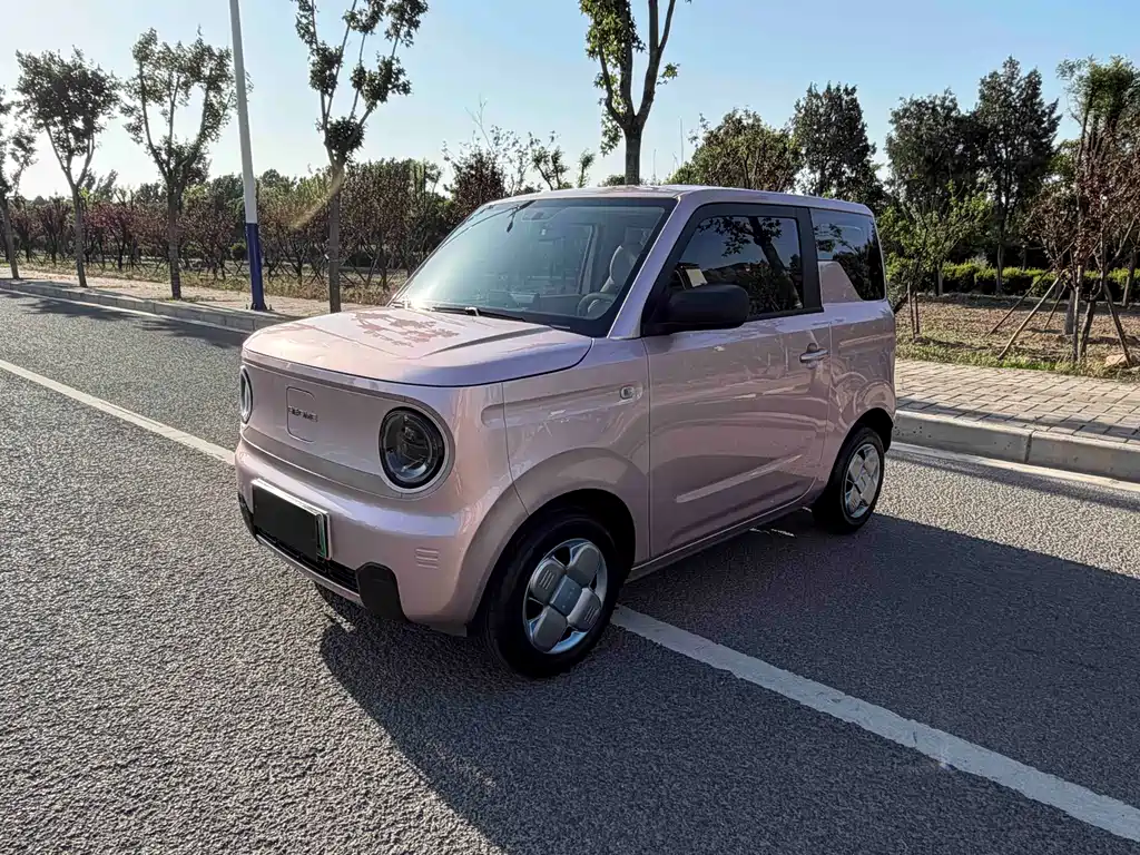 Galaxy Panda 2024