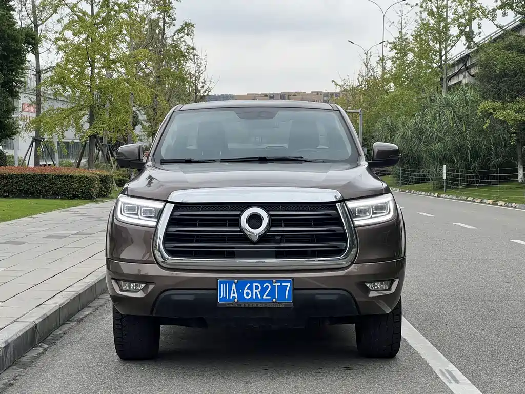 Great Wall Pao — миниатюра 2