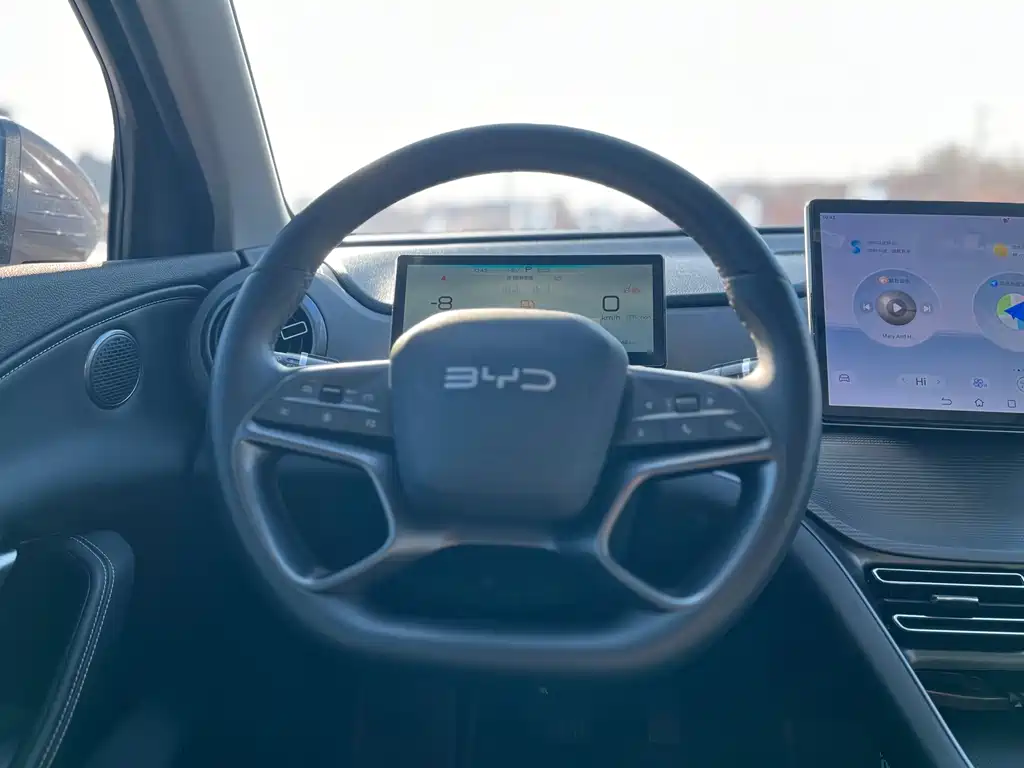 BYD SEA LION 05 DM I