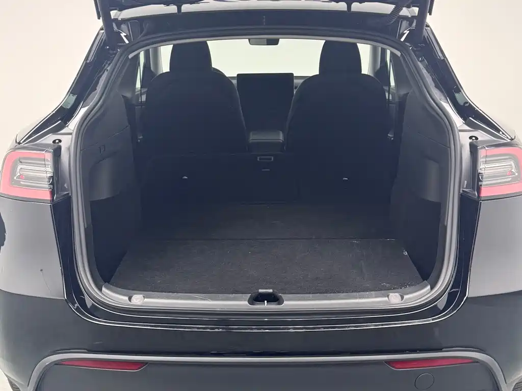 Tesla Model Y — миниатюра 20