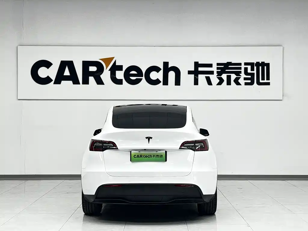 Tesla Model Y — миниатюра 4