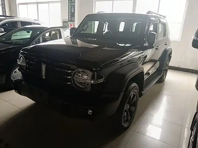 2021 TANK 300