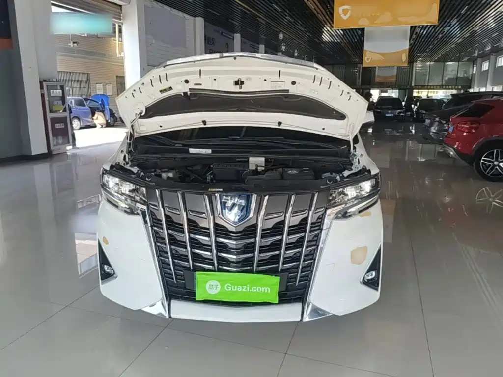 Toyota Alphard — миниатюра 20