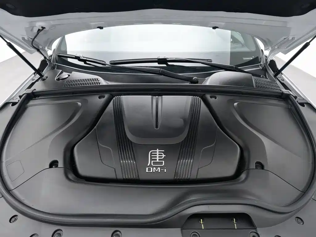 BYD Tang New Energy — миниатюра 6