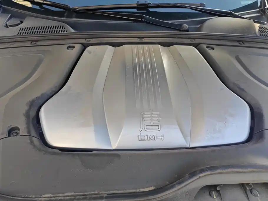 BYD Tang New Energy — миниатюра 10