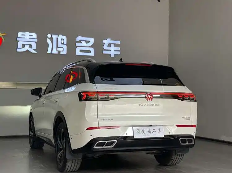 Volkswagen Tavendor — миниатюра 7