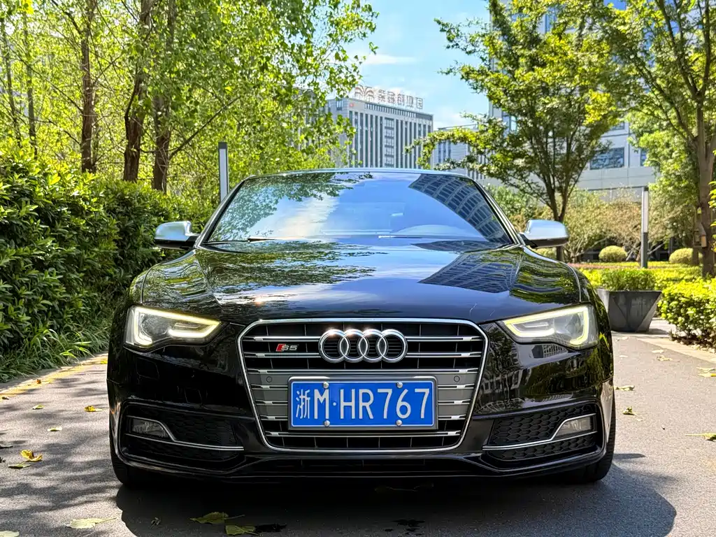 Audi S5 — миниатюра 2