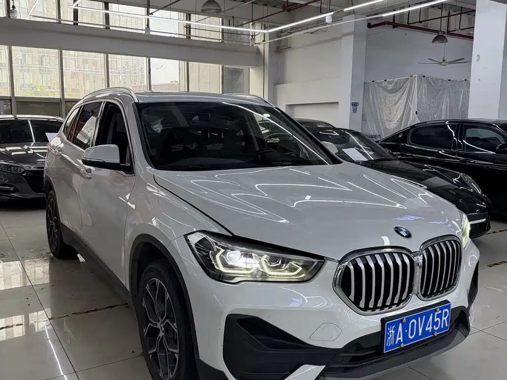 BMW X1 — миниатюра 2