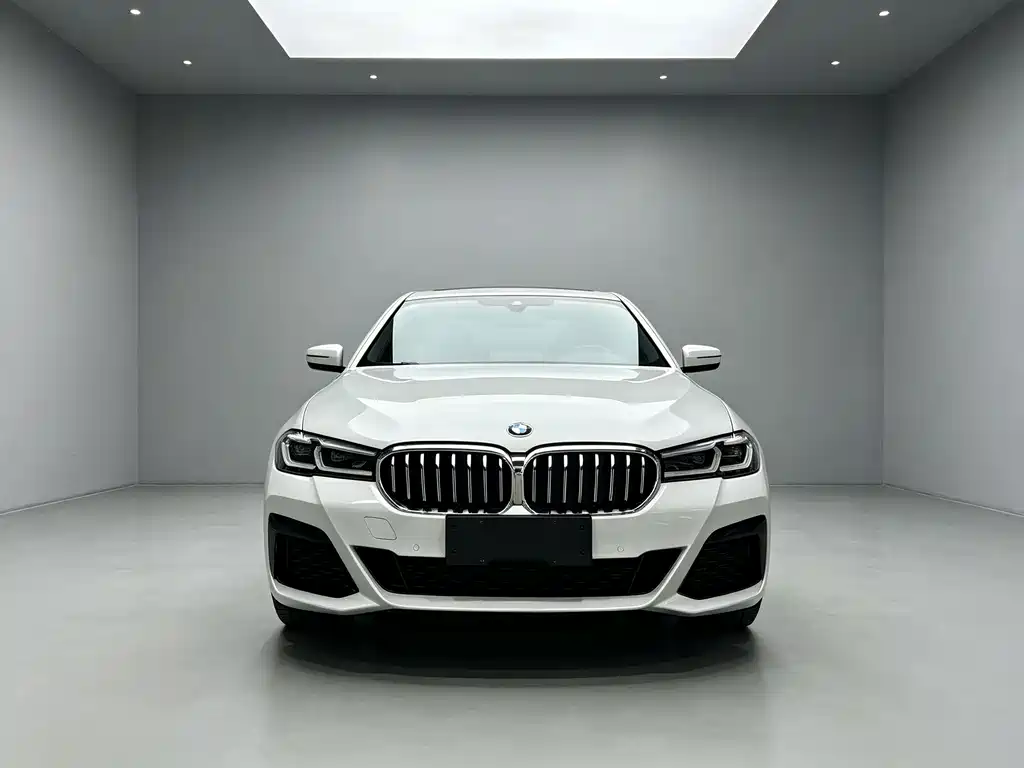 BMW 5 Series — миниатюра 2