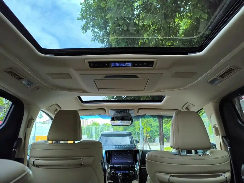 Toyota Alphard — миниатюра 18