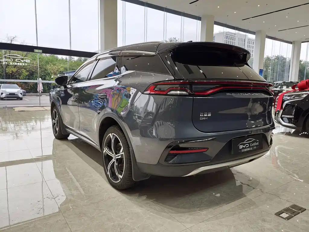 BYD Tang New Energy — миниатюра 7
