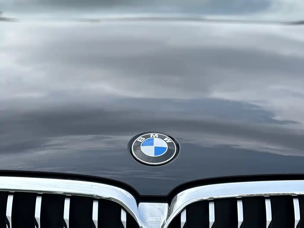 BMW 5 Series — миниатюра 5