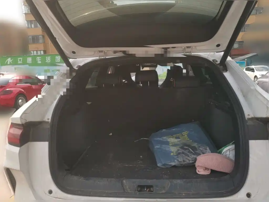 BYD PLUS New Energy — миниатюра 10