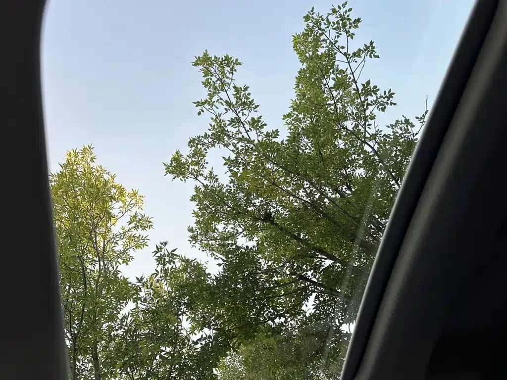 Audi Q3 Sportback — миниатюра 11