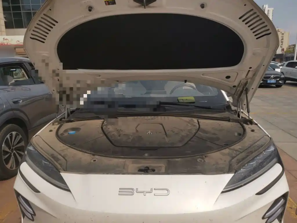 BYD PLUS New Energy — миниатюра 11