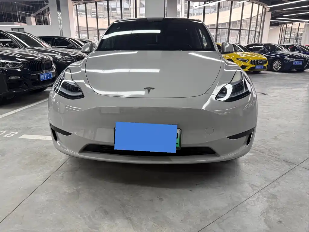 Tesla Model Y — миниатюра 2