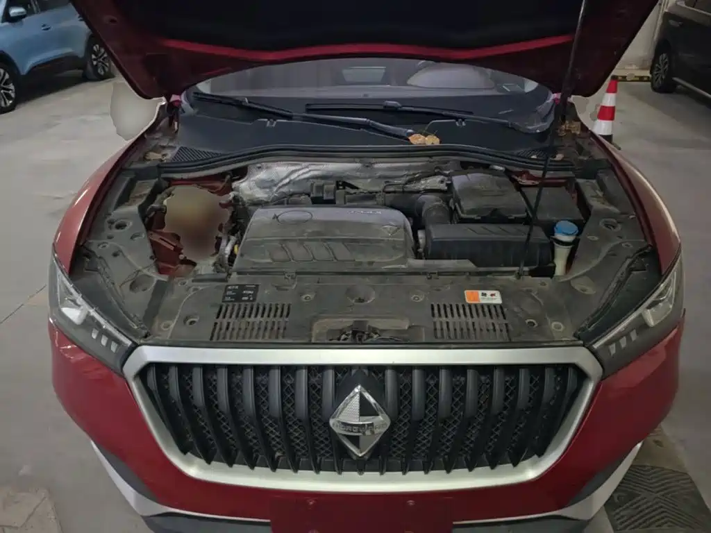 Borgward BX5 — миниатюра 16