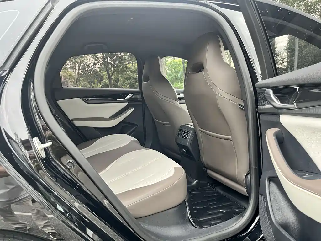 BYD Qin Plus PLUS 2023 Champion DM-i 55KM