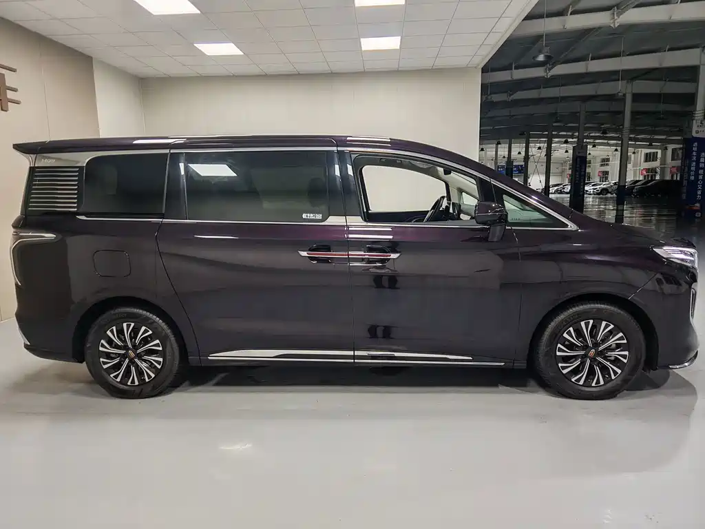 Hongqi Hongqi HQ9 — миниатюра 13