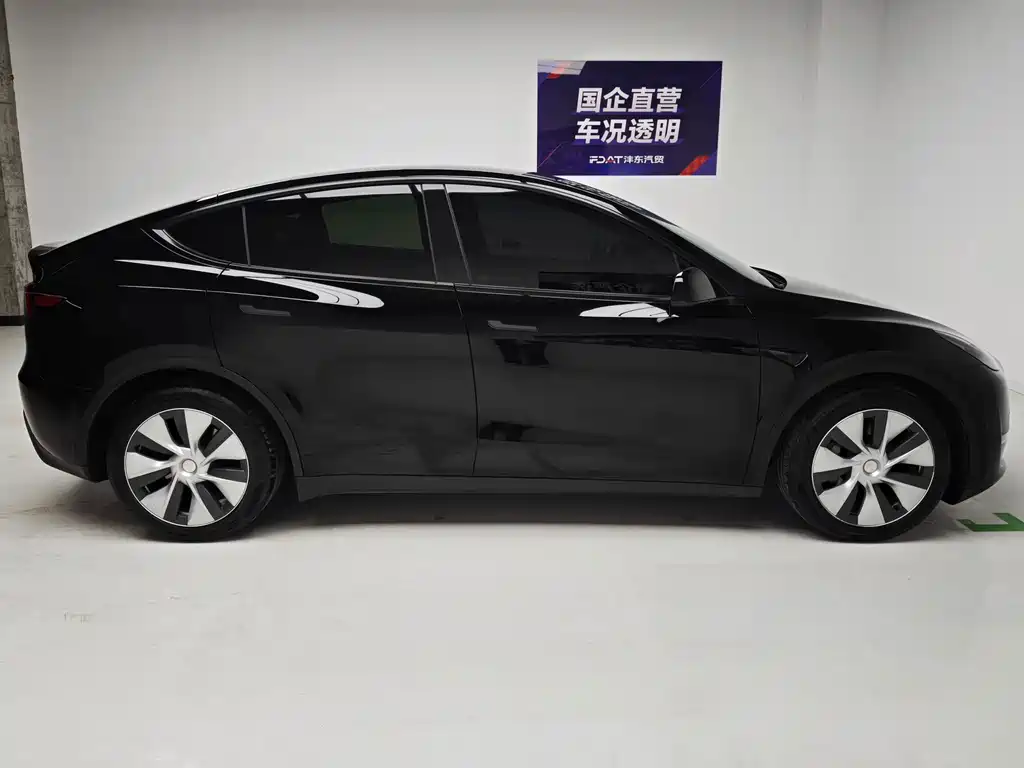 Tesla Model Y — миниатюра 7