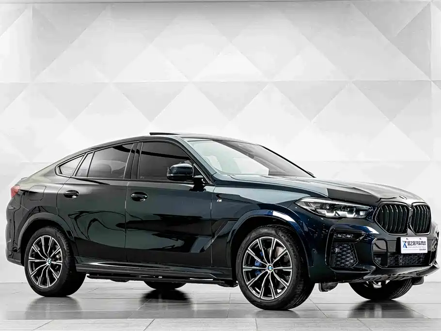 BMW X6 2022 xDrive30i M Sport
