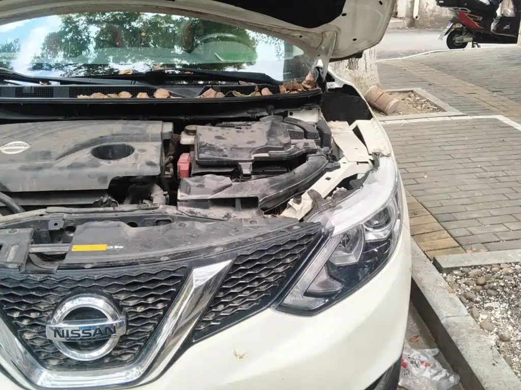 Nissan Qashqai — миниатюра 20