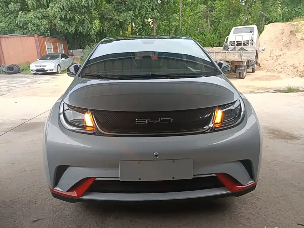 BYD Dolphin — миниатюра 3