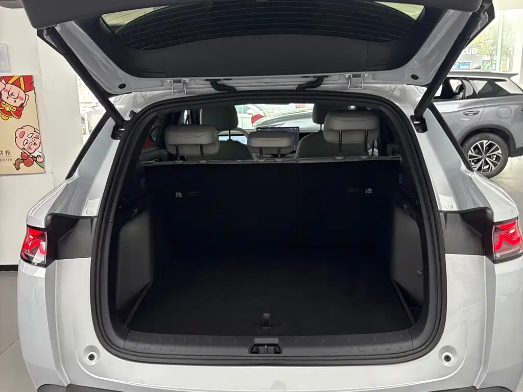 BYD Song Ultra — миниатюра 14