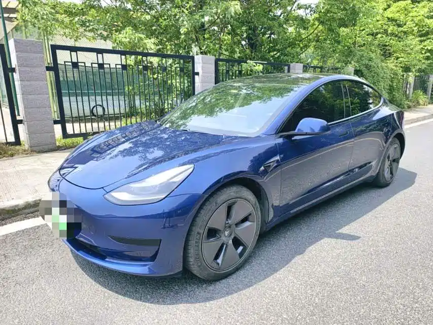 Tesla Model 3 2021