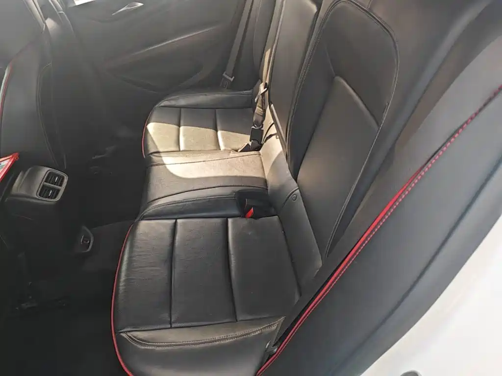 Buick Regal — миниатюра 17