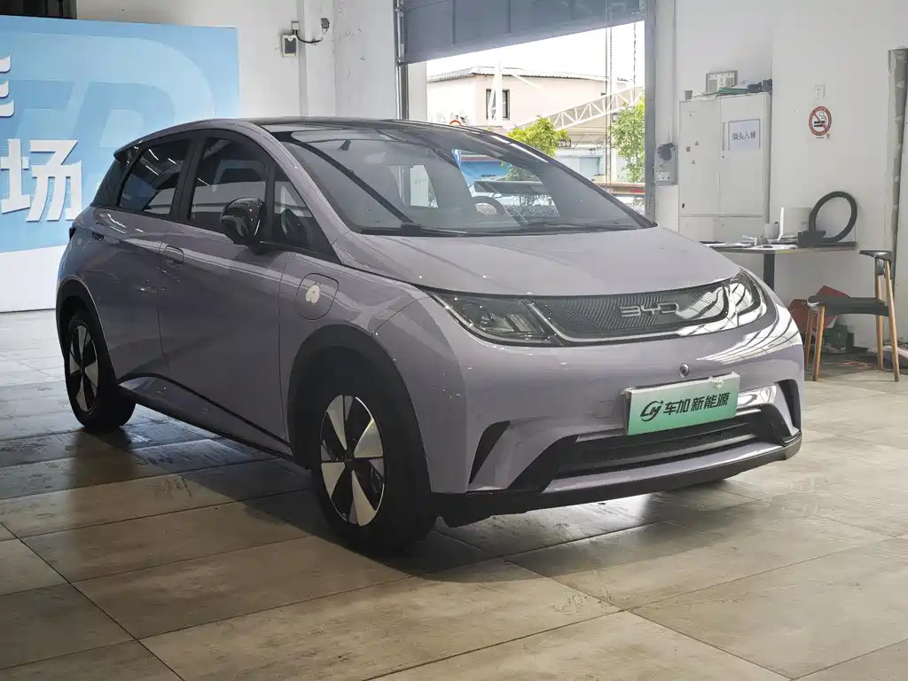 BYD Dolphin 2023 420km Fashion