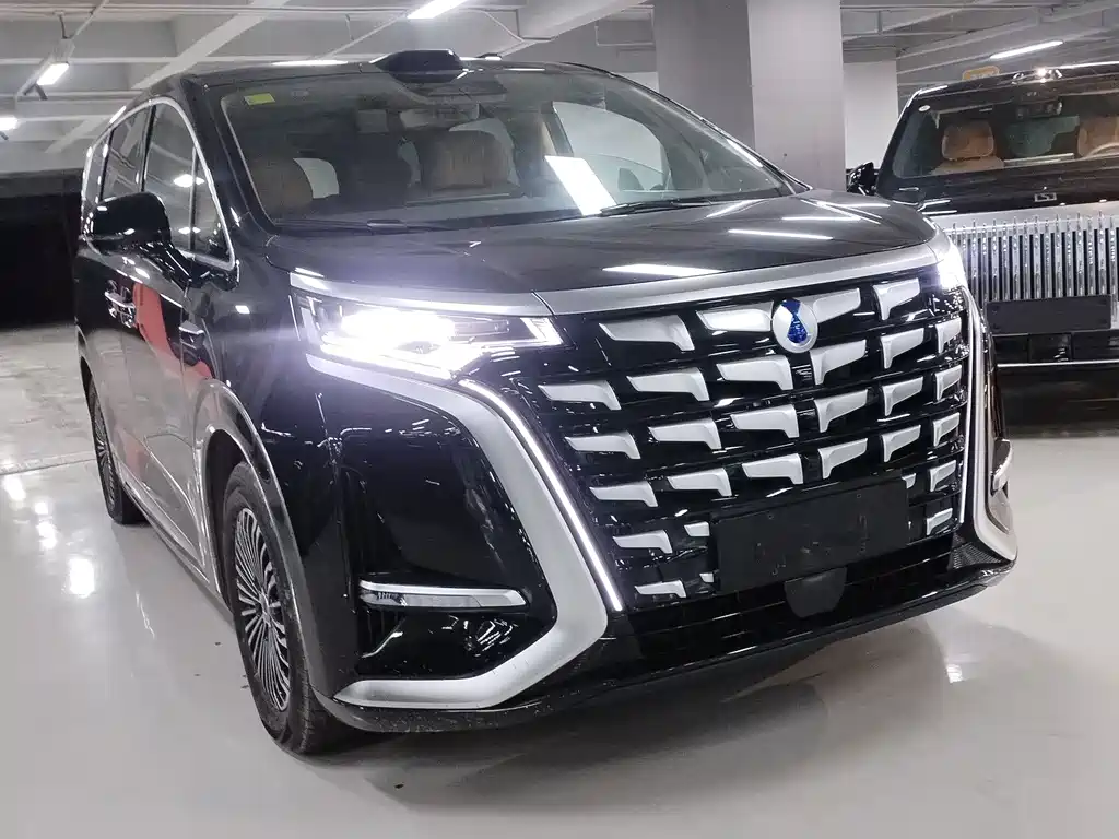 Denza Denza D9 — миниатюра 3