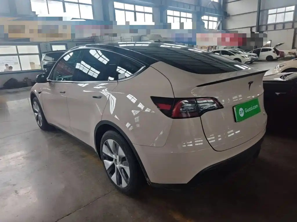 Tesla Model Y — миниатюра 5