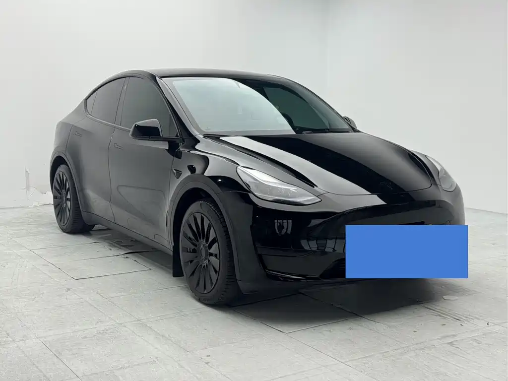 Tesla Model Y — миниатюра 3