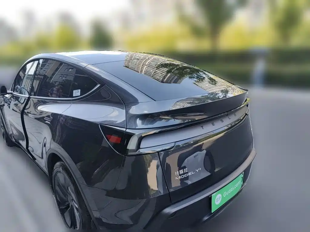 Tesla Model Y — миниатюра 4