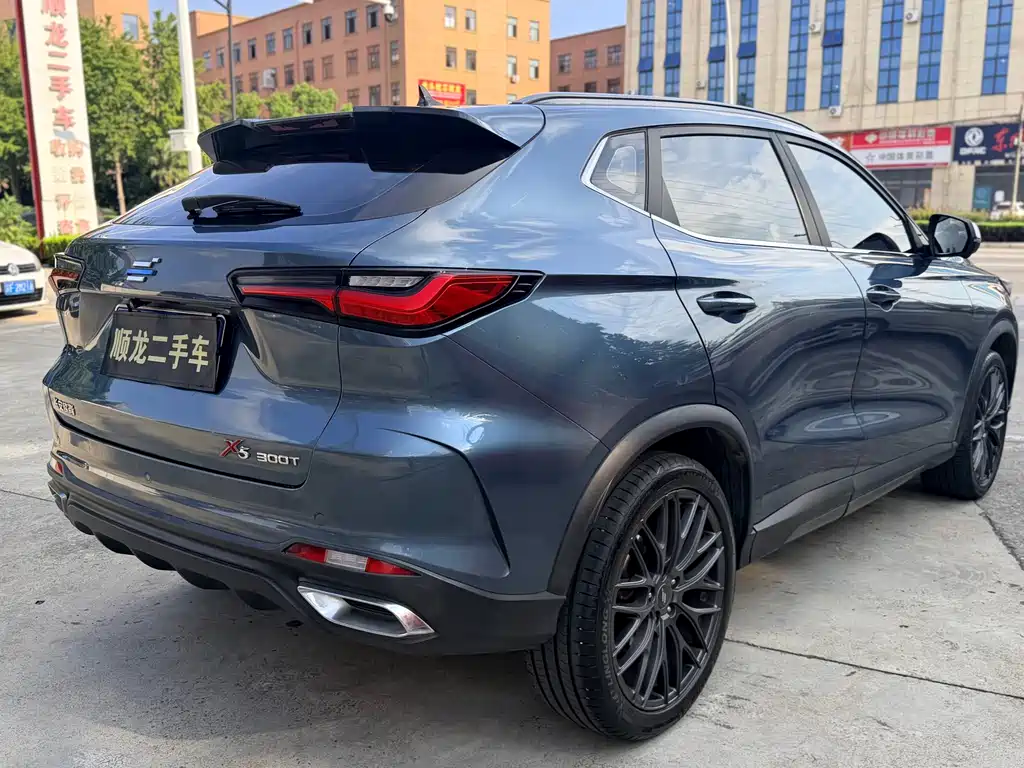 Oshan Oushang X5 — миниатюра 4
