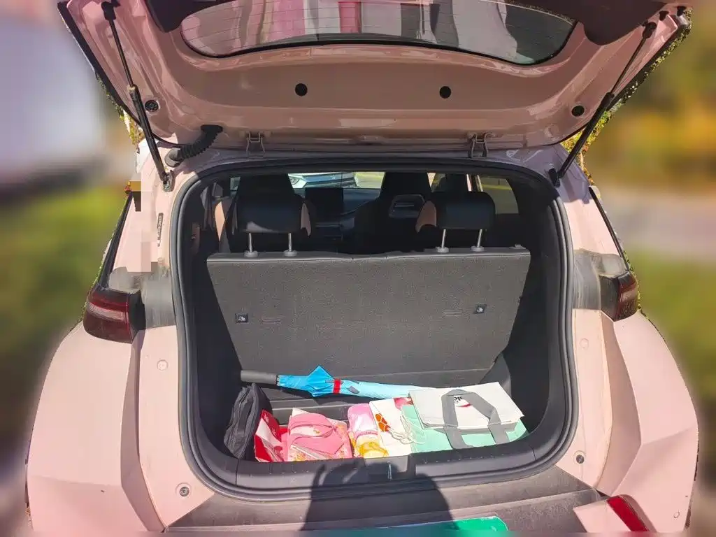 BYD Seagull — миниатюра 20