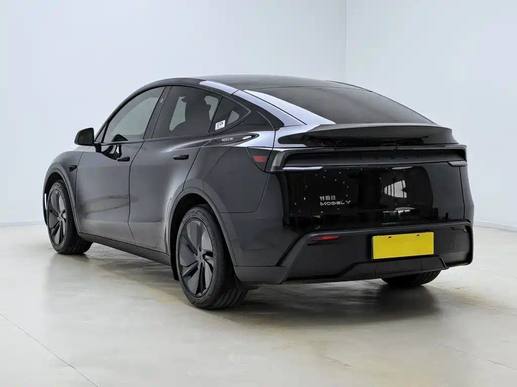 Tesla Model Y — миниатюра 12
