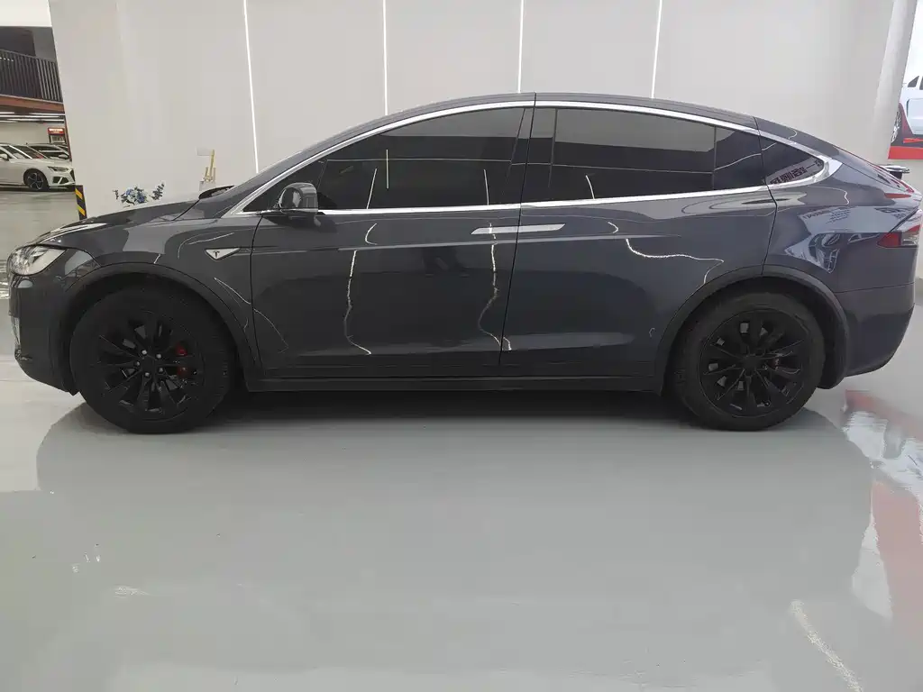 Tesla Model X — миниатюра 5