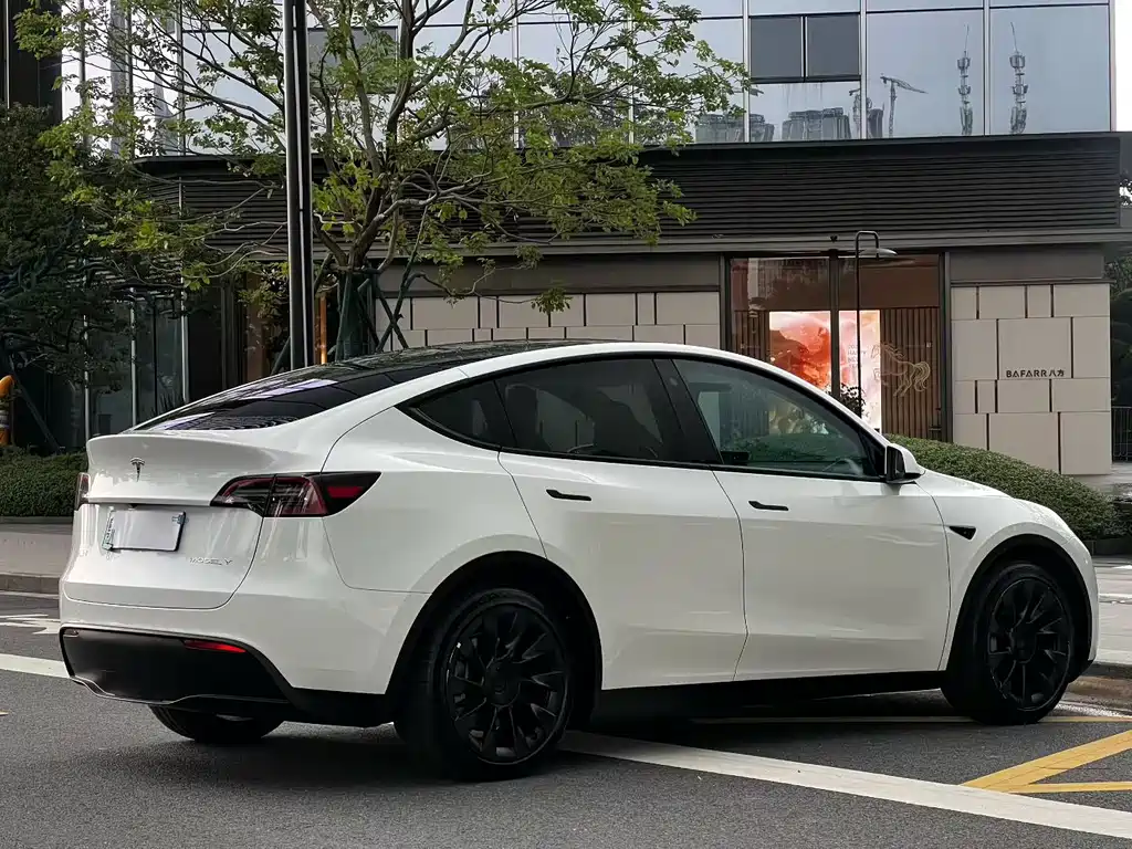 Tesla Model Y — миниатюра 9