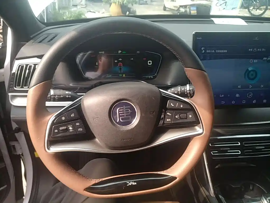 BYD Tang New Energy — миниатюра 11