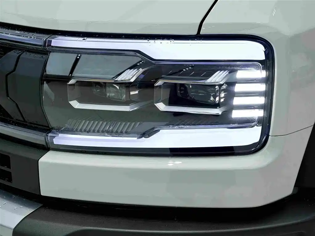 Fang Cheng Bao Leopard 5 — миниатюра 21