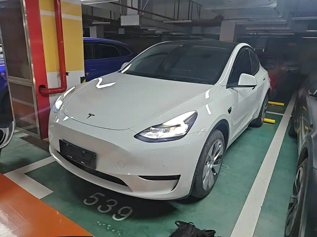 Tesla Model Y — миниатюра 2