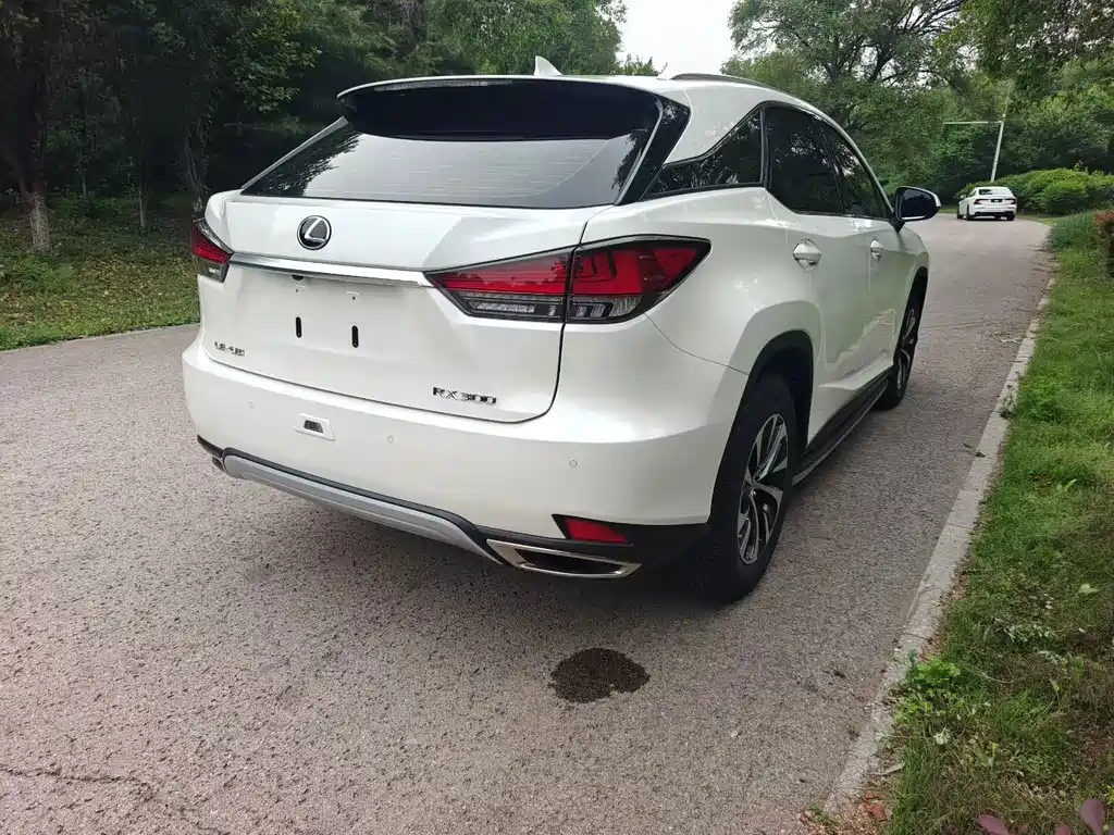 Lexus RX — миниатюра 4