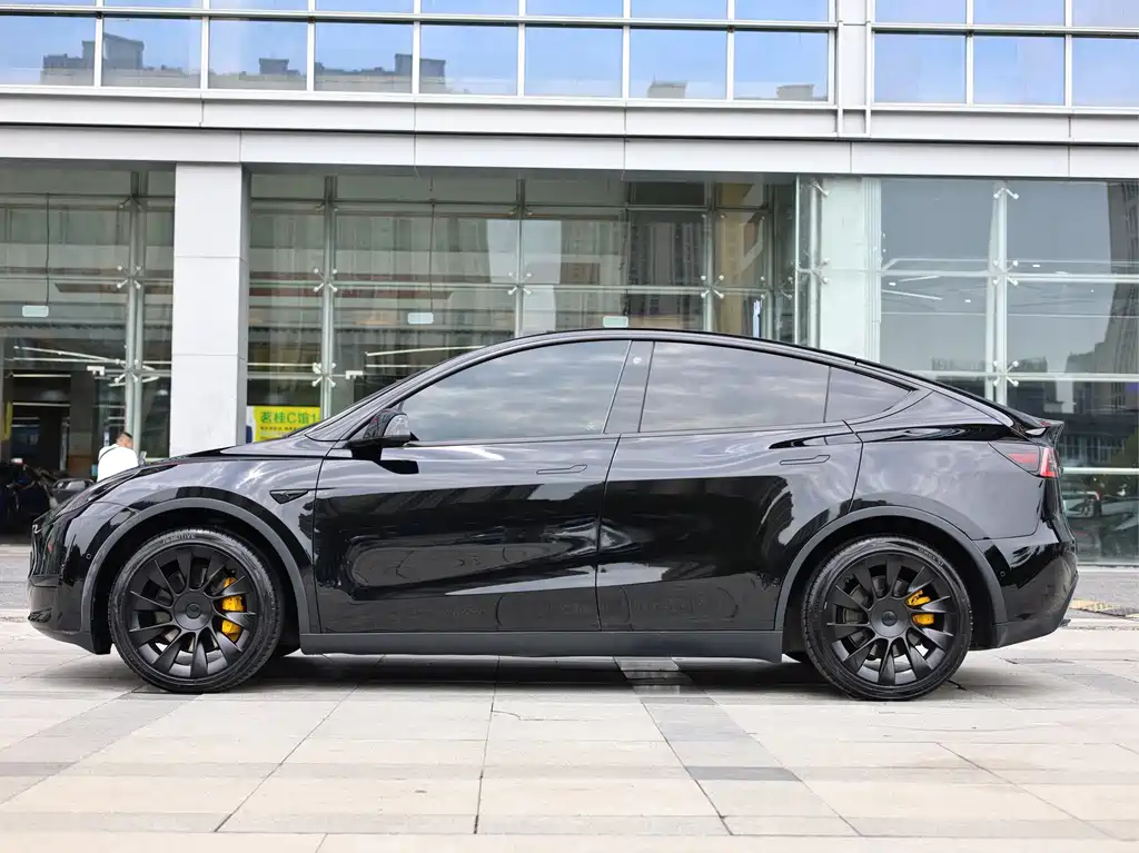 Tesla Model Y — миниатюра 8