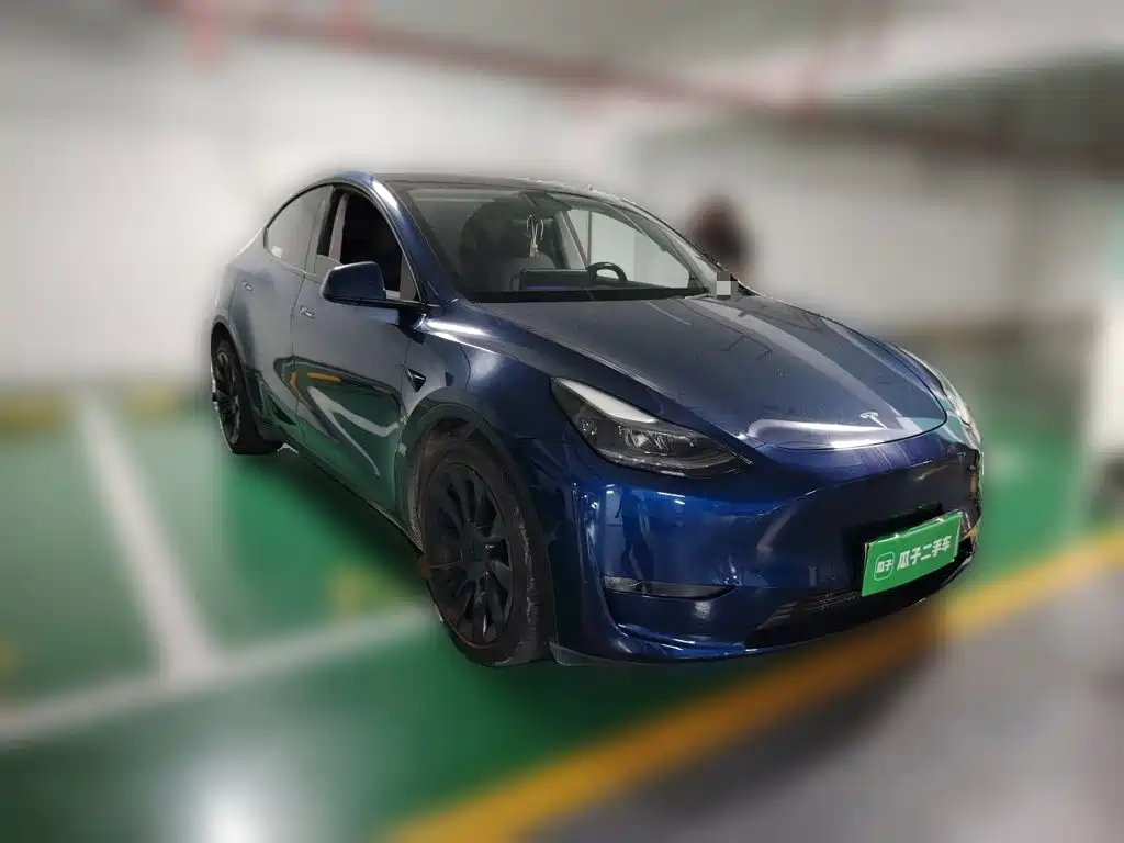 Tesla Model Y — миниатюра 24