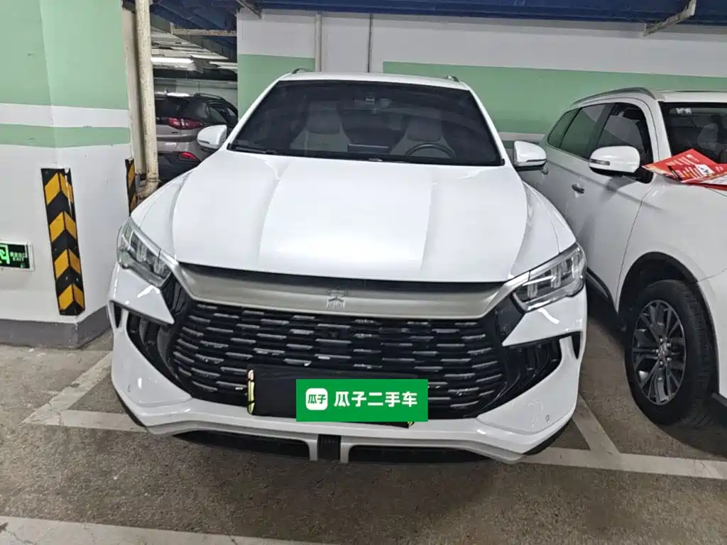 BYD Pro New Energy — миниатюра 3